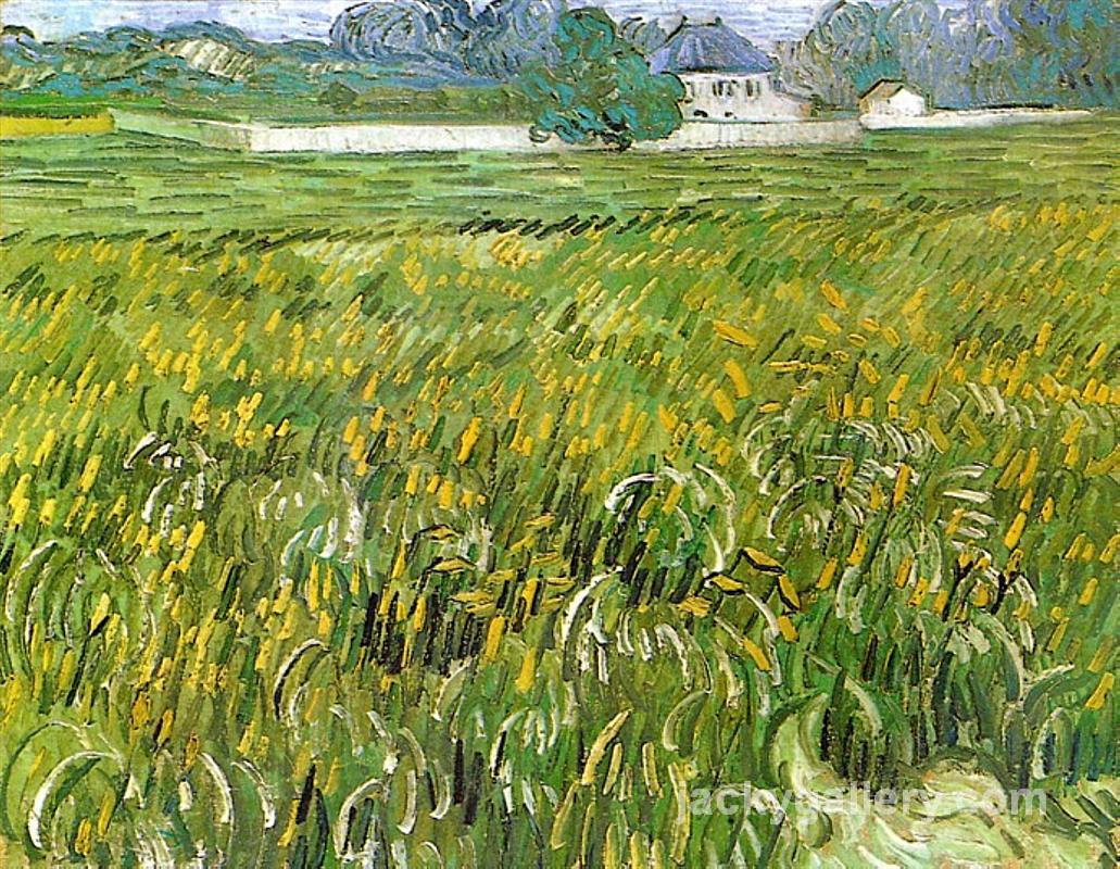 Wheat Field at Auvers with White House, Van Gogh painting